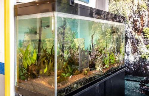 ArtistMemory Appartement - Foto 68