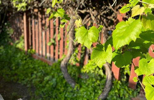 Alfred St Air BNB - Foto 16