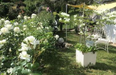 Apartment Rose - Photo 13