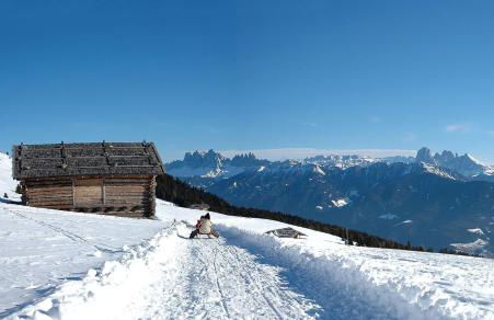 Appartements Kerschbaumer - Foto 45