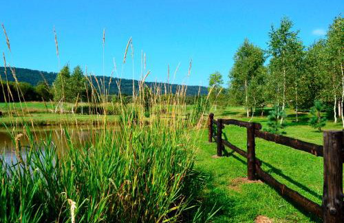 Bies Czadowy Zakątek - Foto 32