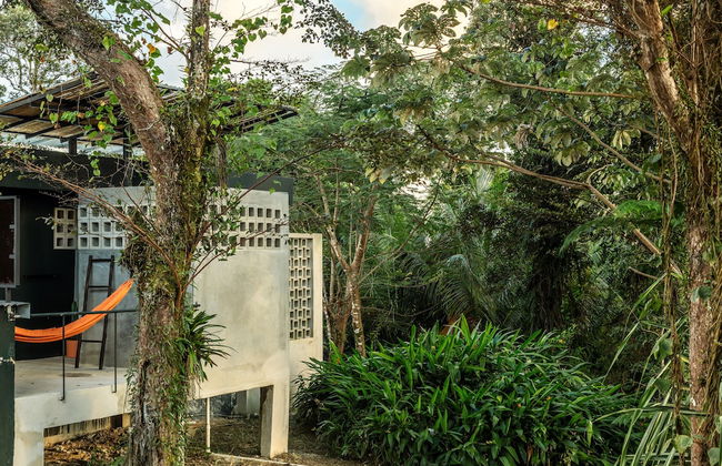 SELVA by DW - Photo 51