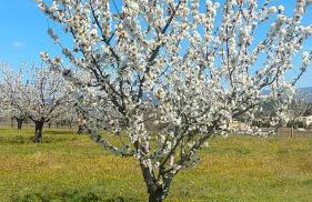 La perle de Gordes - Photo 66