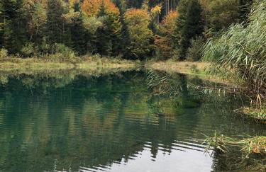Zur alten Fabrik - Photo 33