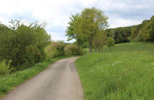 Eifelhaus LandLuft mit Infrarotkabine - Foto 9