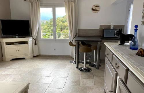 Agréable appartement vue mer - Foto 18