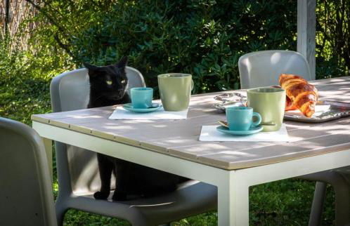 Appartamento Elisa, immerso nella natura e vicino a Firenze - Foto 31