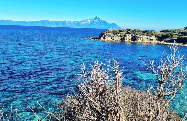 Ktima Amitsa - Foto 55