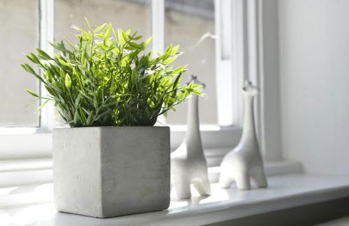 Old Green Chambers spacious town centre apartment with free parking! - Foto 11