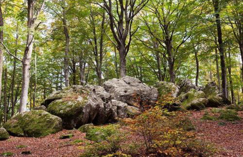 Casa del castorino - Foto 77