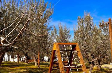 oasi macerina - Foto 38