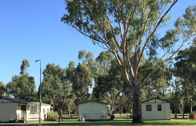 Junee Tourist Park - Photo 60