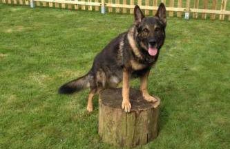 Apartment Huus Thimo by Interhome - Foto 20