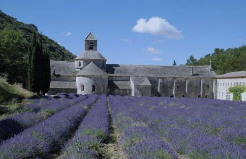 Maison Le Clos Du Moulin 1 - climatisée, jardin & parking - 3 chambres doubles - 10 min Avignon - Foto 33