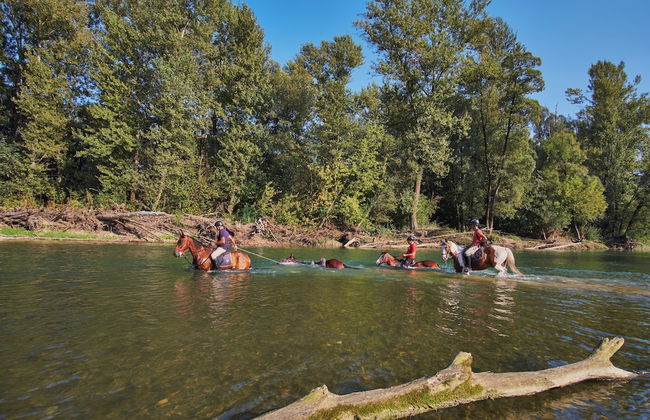 Sleeps5-wellness Spa- Hot Tub- Family Friendly - Foto 14