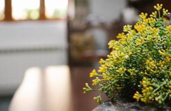 La Carteria casa rural - Foto 50