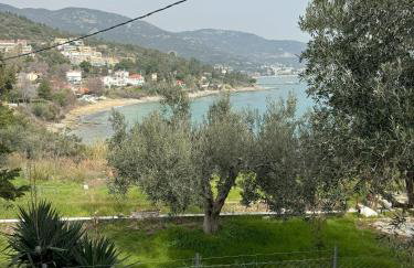 Acra Melia - Foto 60