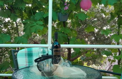 Apartments Olga & Jure - Foto 23