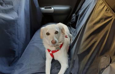 Luna e Mare - Foto 14