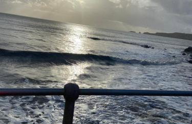 Adorable bedsit for you, partner and your pet! - Foto 44