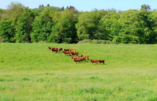 Cottage in France with Private Terrace - Foto 18