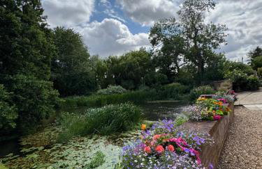 Waterside, Elmham Watermill, Norfolk - Foto 24