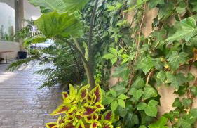 La Paratá Suites Mojácar - Foto 19