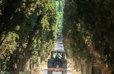 Di Colle in Colle - Agriturismo - Foto 27