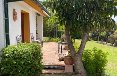 Finca Lechuza - Photo 41