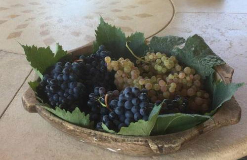 wine apartment le sedici - Foto 26