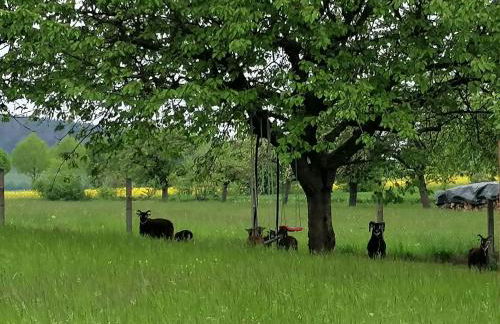 Ferienhaus Putzke - Foto 4