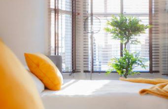 Templar large garden flat - Foto 20