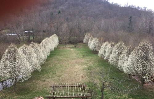 Serenity Views Retreat - Close to City and Parkway! - Foto 14