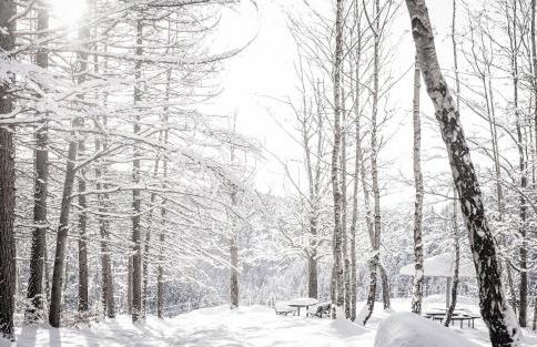 Galerie-Ferienwohnung "Im Schindlershof" - zentral und ruhig - Foto 28