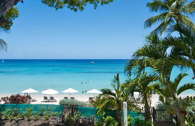 Coral Cove 5 - Condo Shutters - Foto 13