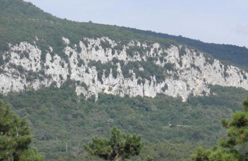 Studio Apartment MD - Photo 42