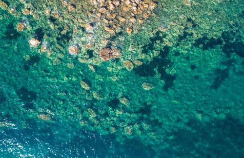 Azienda Agricola Club Le Cannelle - Foto 72