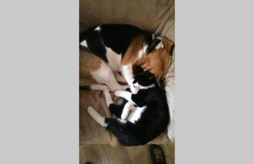 Sinnes Wandel Hof Serka - Foto 22