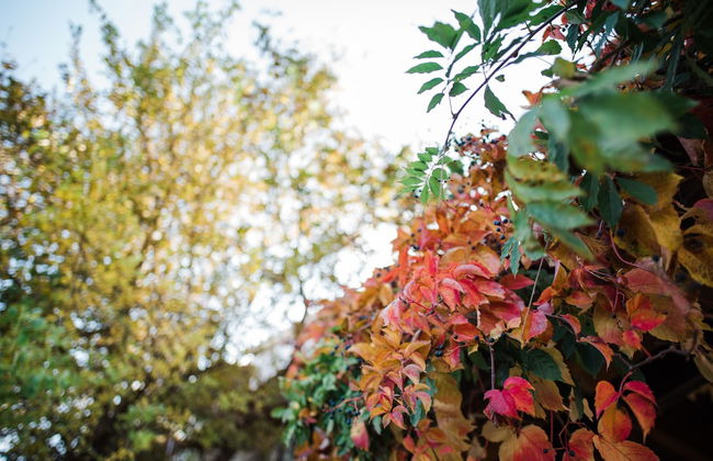 Traditional Luxury Villa Armonia - Foto 49