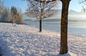 Ferienhaus Mayr - Ferienwohnung Bergblick - Foto 31