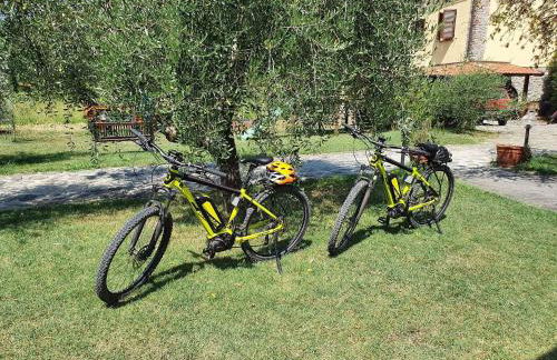 agriturismo il poderetto - Foto 68