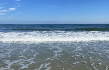 Endlich Theda - Photo 32