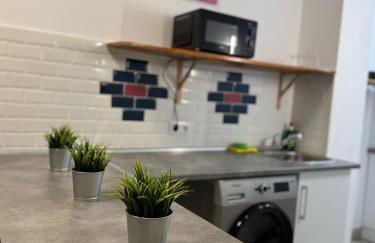 LUMINOSOS APARTAMENTOS POZUELO a 8 MINUTOS DE PALACIO REAL - Foto 35