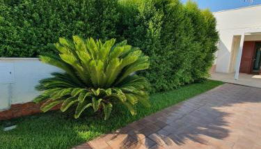 Villetta Torre Saracena - Foto 4