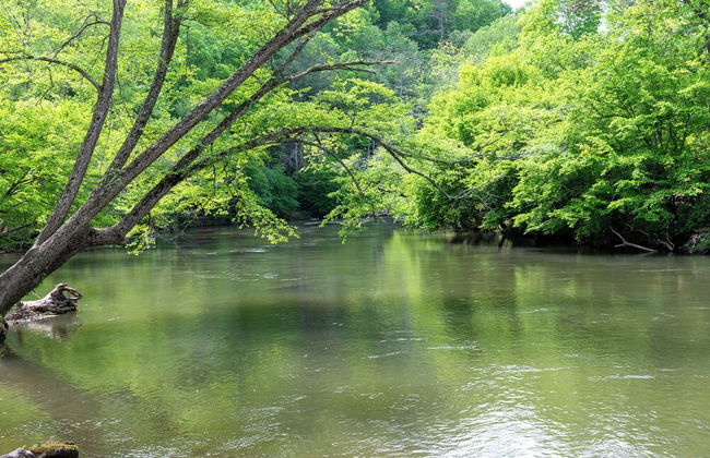 Four Bear Hideaway Coosawattee River Resort! - Foto 39