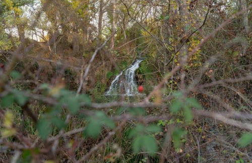 Casa Rural La Rosquilla - Foto 33