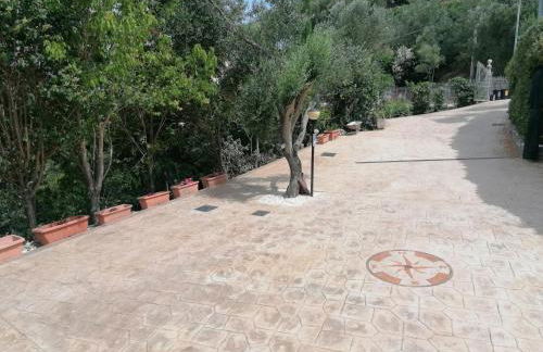 Il Mare di Elea - Foto 24