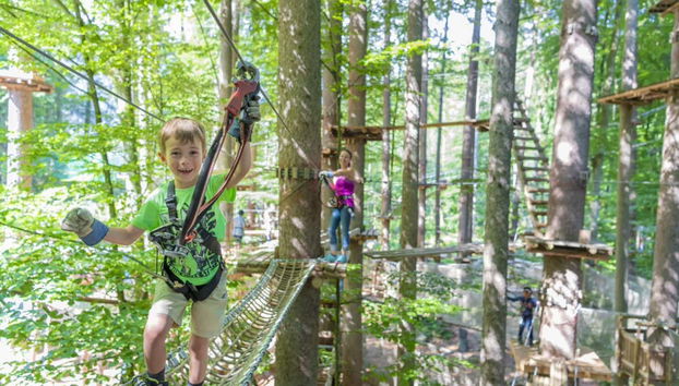 High ropes course through the trees