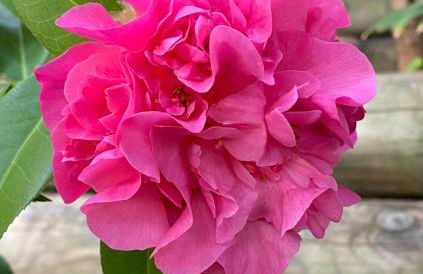 Résidence Terra Théa - Foto 105