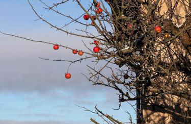 Am Schloss Wolkenstein, 86m2, 3BR, Babybett, Office - Foto 12